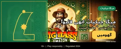 پاکستان کے بہترین گیمنگ تجربات banner